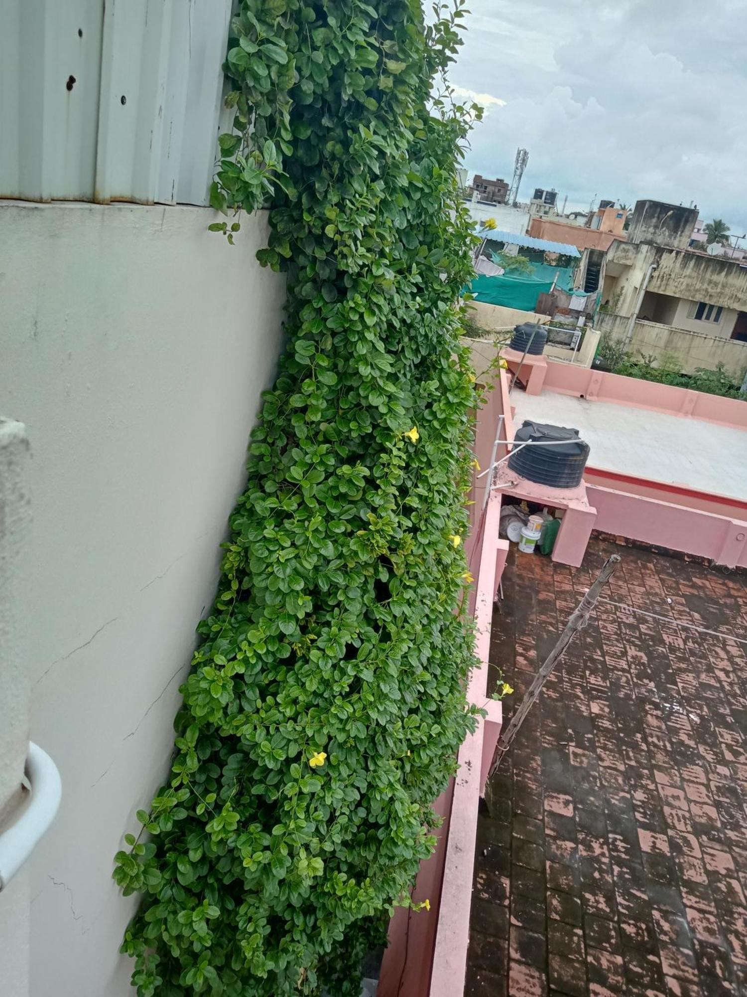 Aparthotel Allamanda Abode Chennai Exterior foto